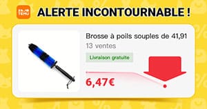 brosse jante pas cher temu